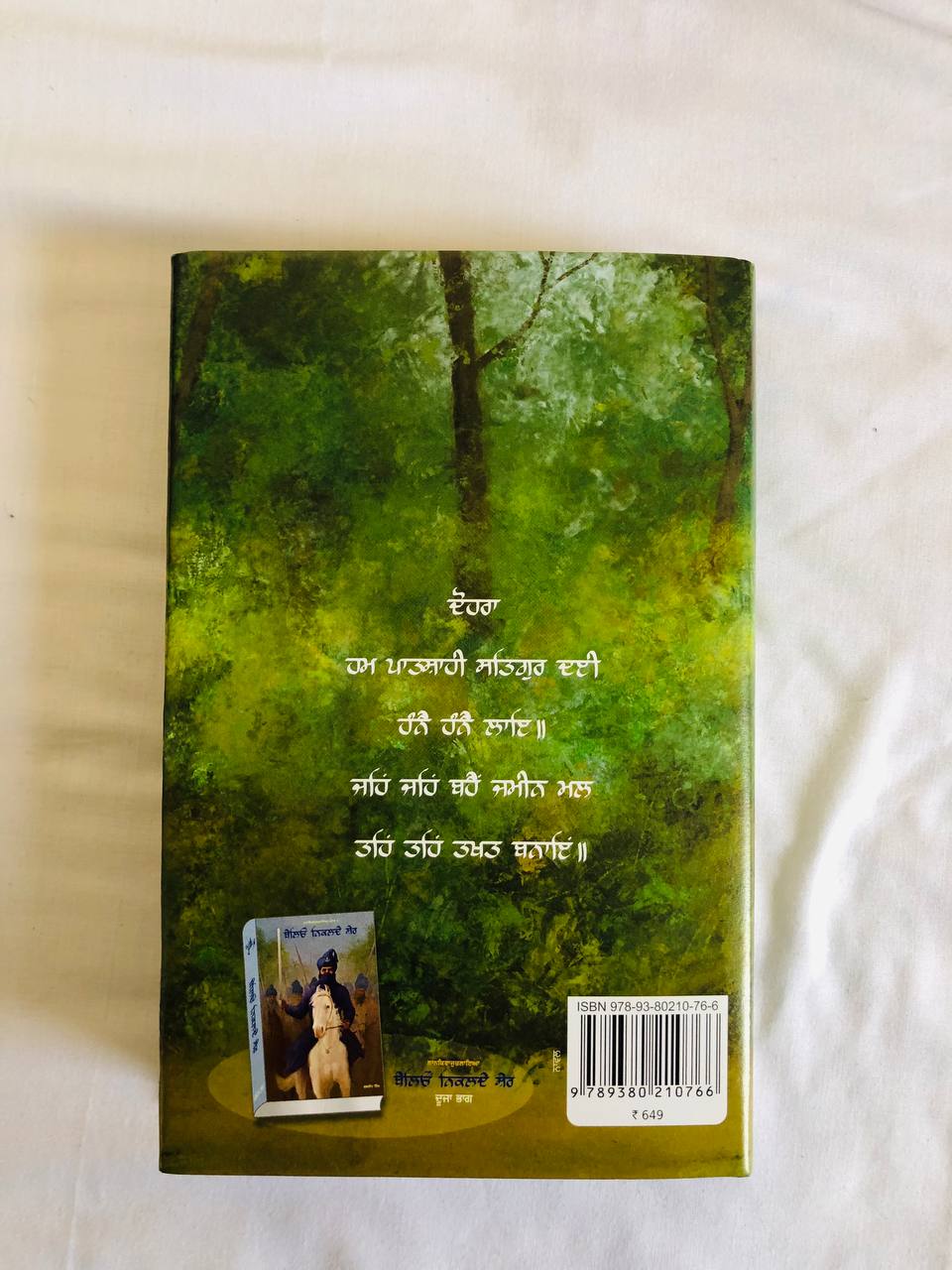 Book Hanne Hanne Patshahi in Punjabi
