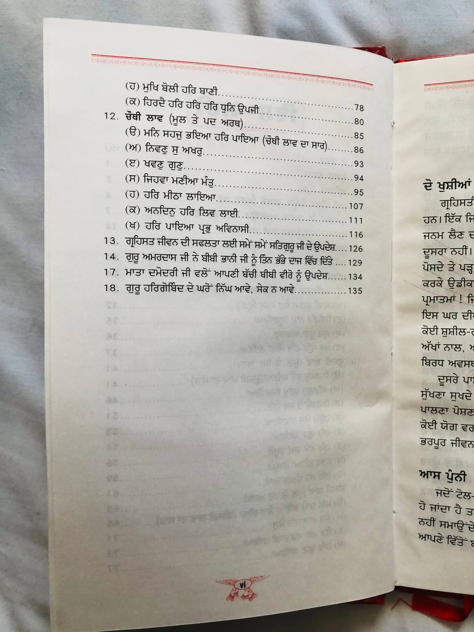 Book Guru Nanak Chali In Punjabi