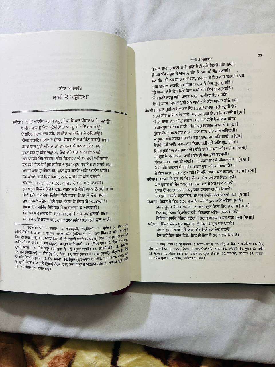 Book Gurbilas Patshahi Dasvi in Punjabi