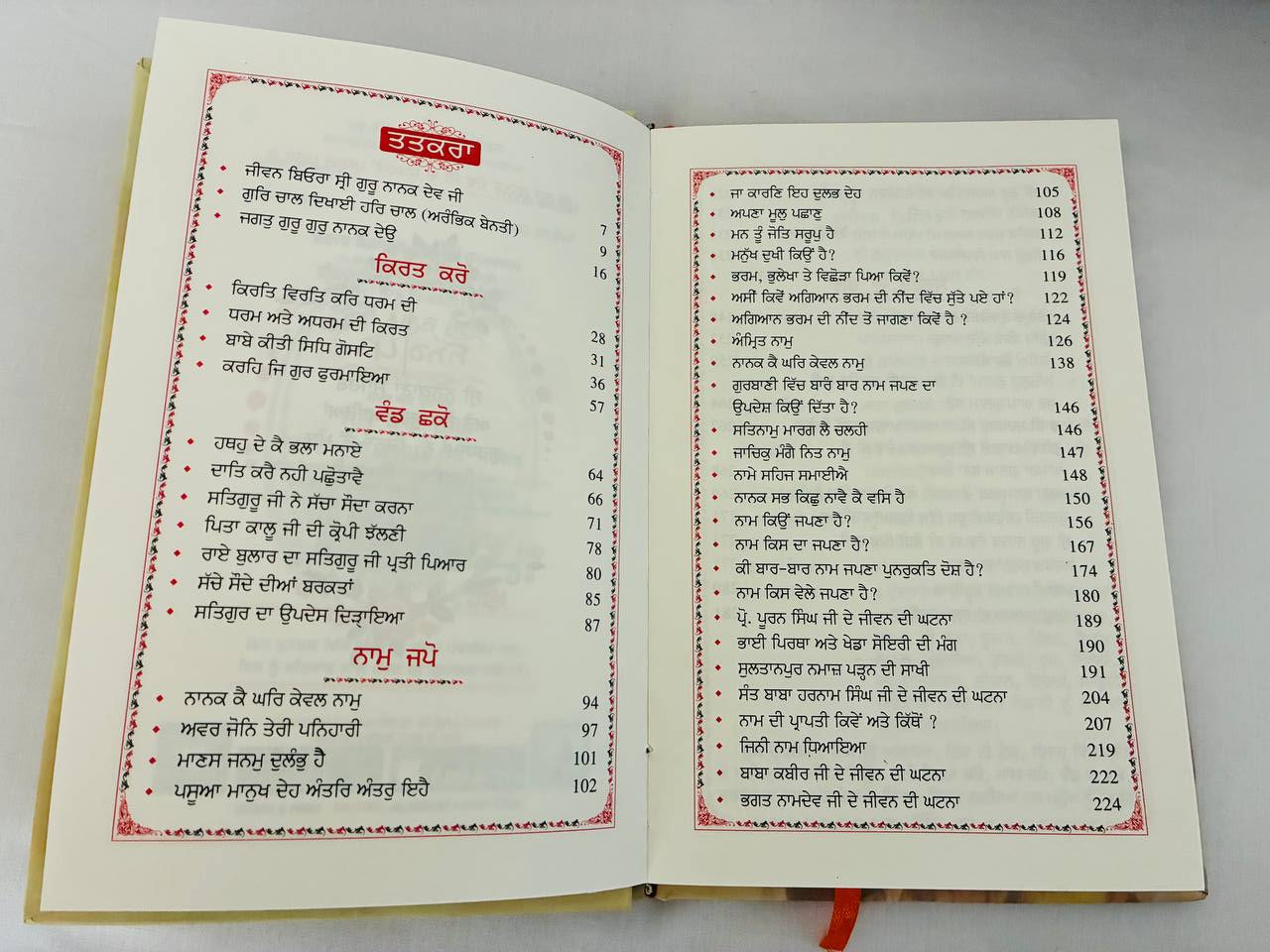 Book Guru Nanak Challi In Punjabi